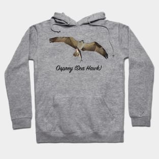 Ospray Sea Hawk The Bird of Prey Hoodie